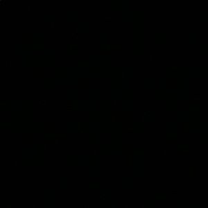 Meet your Posher, Chase